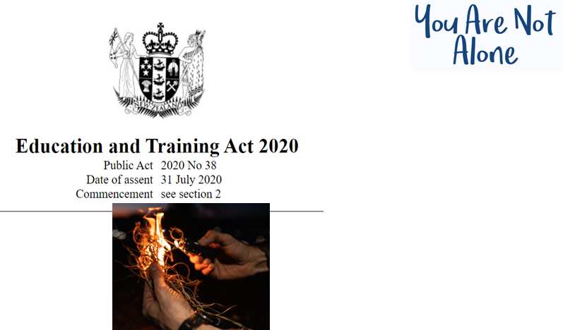 Confused about where our Vocational Education and Training System is at?